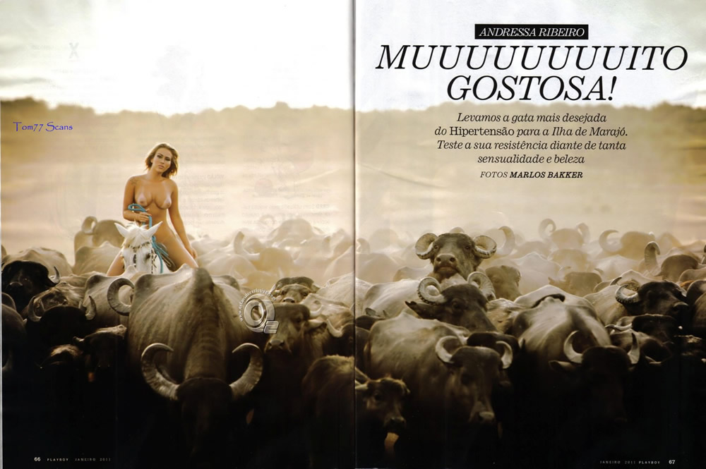 Revista Playboy  2011 01 Andressa Ribeirofoto 03