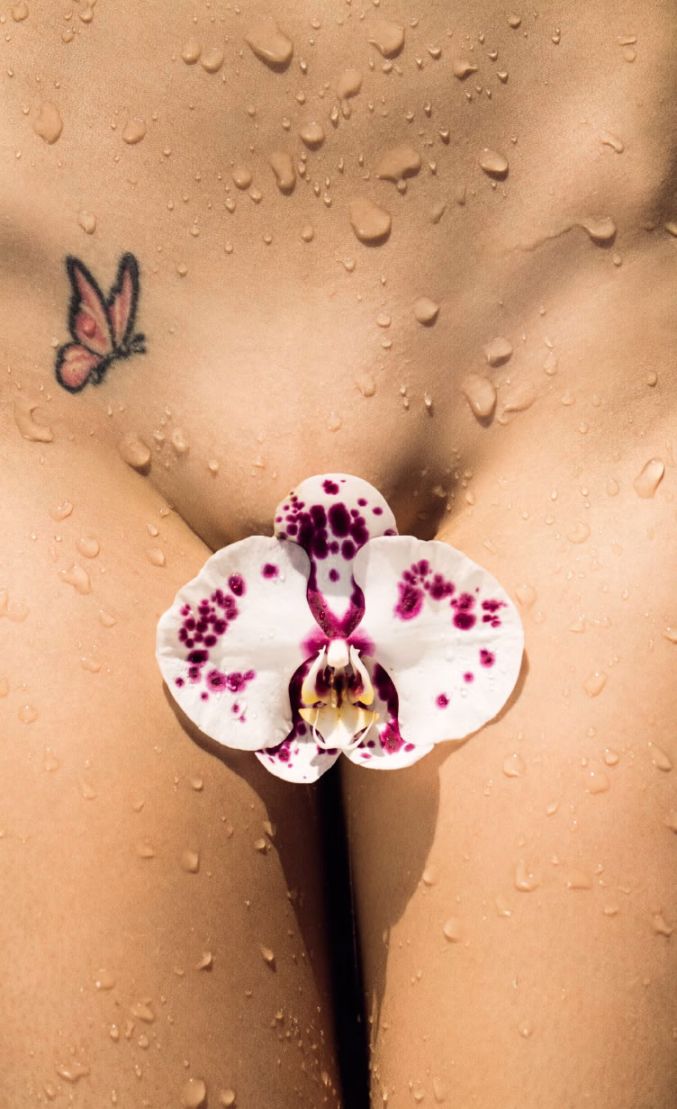 Revista Playboy  2014 08 Jessika Alvesasset P10